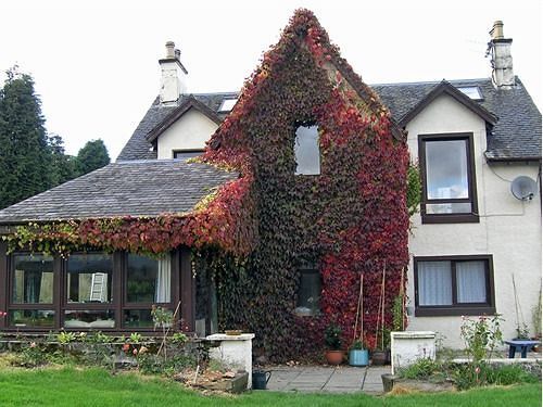 Achnabobane Farmhouse Hotel Spean Bridge Exterior foto